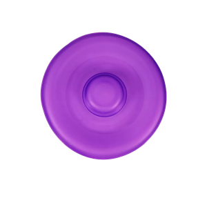Frisbee PNG-44959